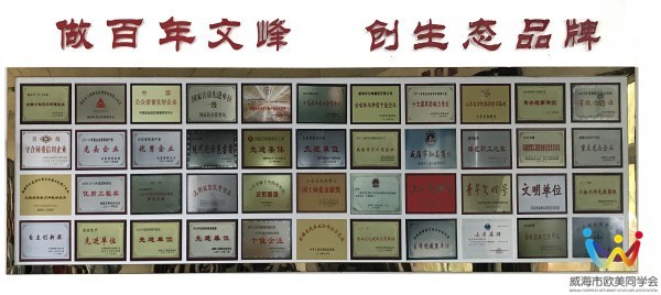 文峰荣誉.jpg