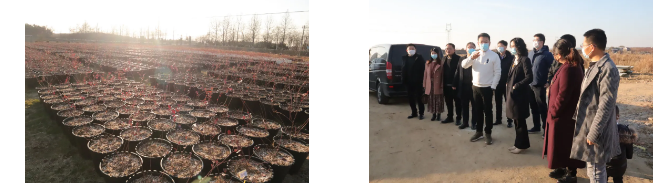 QQ截图20201216153618.png